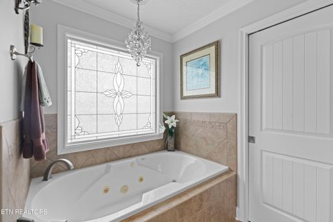 Tiny photo for 1040 Southwind Circle, Dandridge, TN 37725 (MLS # 1343383)
