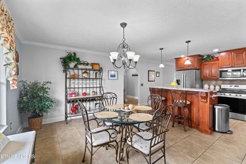 Tiny photo for 1040 Southwind Circle, Dandridge, TN 37725 (MLS # 1343383)