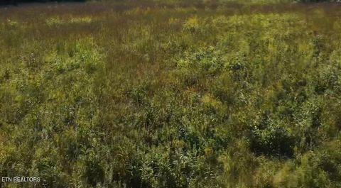 Tiny photo for Stone Mill Rd, Jacksboro, TN 37757 (MLS # 1324836)