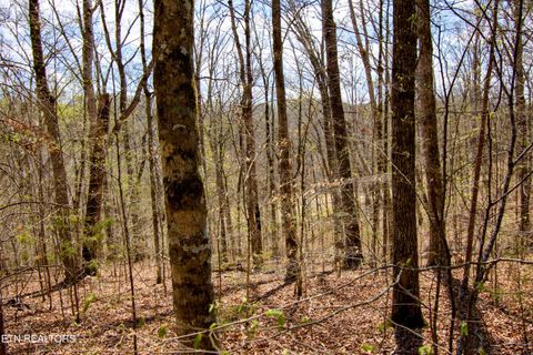Tiny photo for Turtle Dove Tr, Dandridge, TN 37725 (MLS # 1335064)