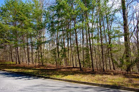 Tiny photo for Turtle Dove Tr, Dandridge, TN 37725 (MLS # 1335064)