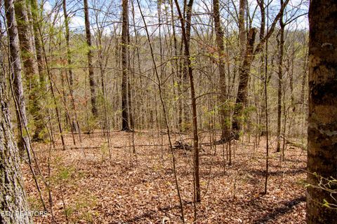 Tiny photo for Turtle Dove Tr, Dandridge, TN 37725 (MLS # 1335064)