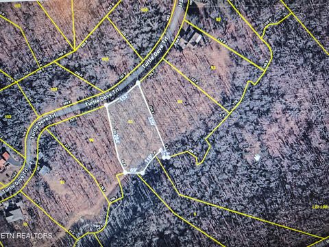 Tiny photo for Turtle Dove Tr, Dandridge, TN 37725 (MLS # 1335064)