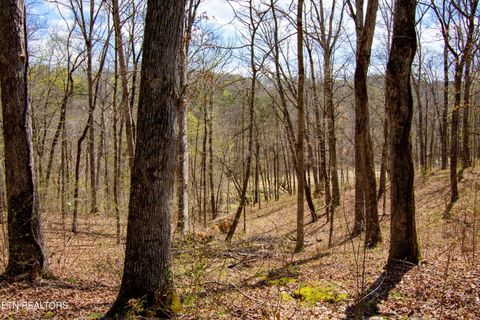 Tiny photo for Turtle Dove Tr, Dandridge, TN 37725 (MLS # 1335064)