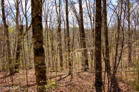 Tiny photo for Turtle Dove Tr, Dandridge, TN 37725 (MLS # 1335064)