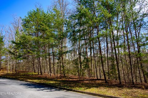 Tiny photo for Turtle Dove Tr, Dandridge, TN 37725 (MLS # 1335064)