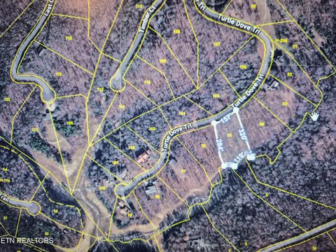 Tiny photo for Turtle Dove Tr, Dandridge, TN 37725 (MLS # 1335064)