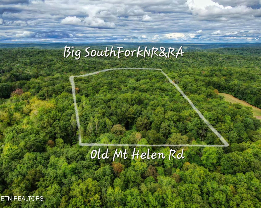 Photo of 6549 Old Mount Helen Rd, Allardt, TN 38504 (MLS # 1358511)