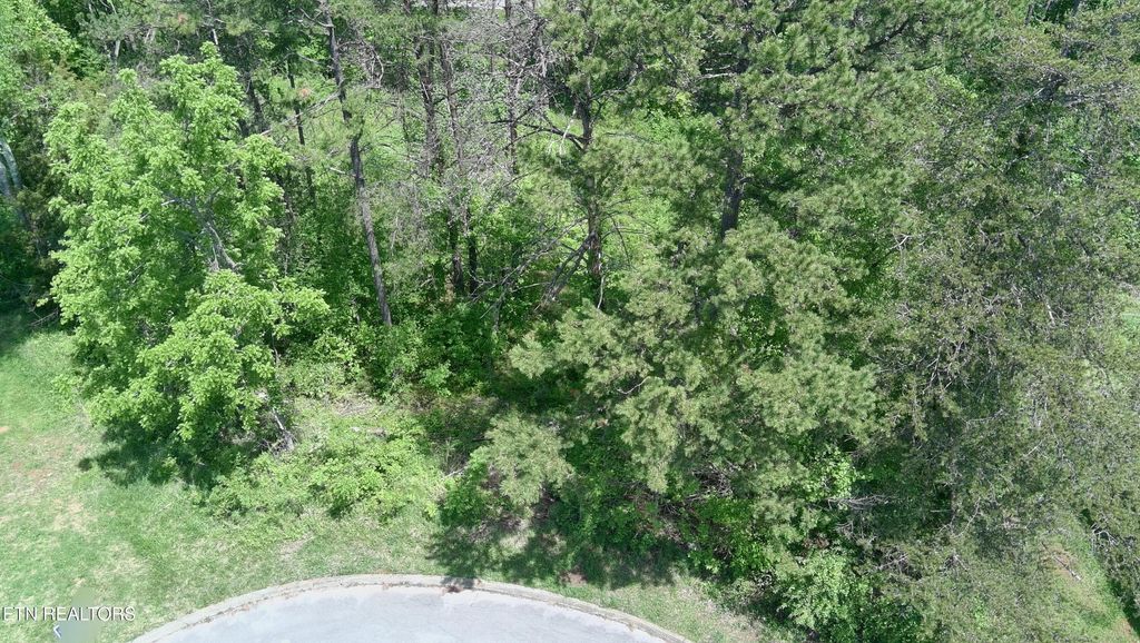 Photo of Lot 10 Antler Ridge, Dandridge, TN 37725 (MLS # 1298515)