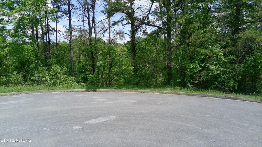 Photo of Lot 10 Antler Ridge, Dandridge, TN 37725 (MLS # 1298515)