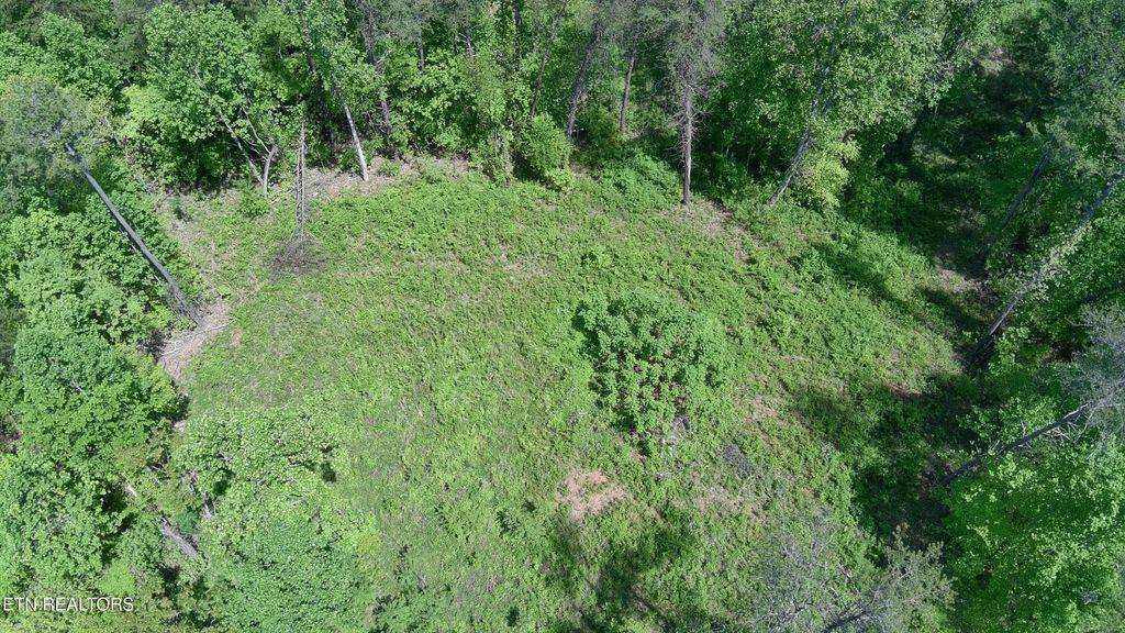 Photo of Lot 10 Antler Ridge, Dandridge, TN 37725 (MLS # 1298515)