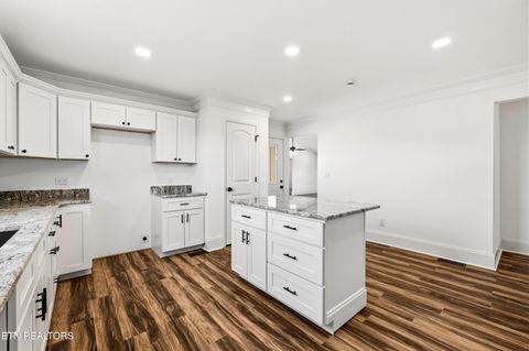 Tiny photo for 141 Neal Drive, Rutledge, TN 37861 (MLS # 1337807)