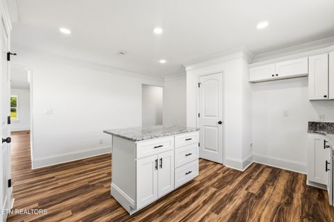 Tiny photo for 141 Neal Drive, Rutledge, TN 37861 (MLS # 1337807)