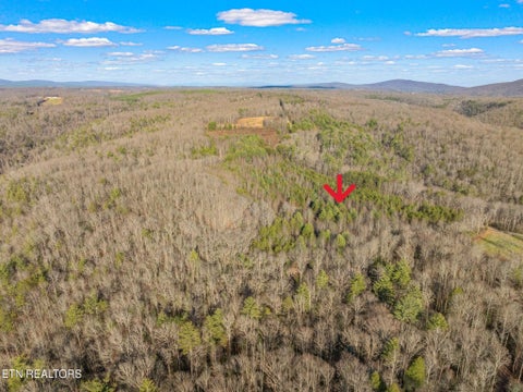 Tiny photo for Grievers Chapel Rd, Rockwood, TN 37854 (MLS # 1360139)