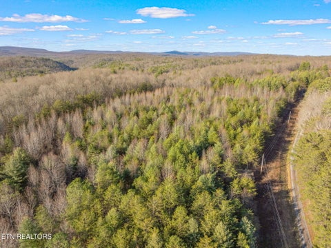 Tiny photo for Grievers Chapel Rd, Rockwood, TN 37854 (MLS # 1360139)