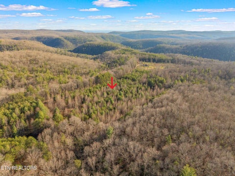 Tiny photo for Grievers Chapel Rd, Rockwood, TN 37854 (MLS # 1360139)