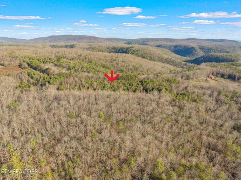 Tiny photo for Grievers Chapel Rd, Rockwood, TN 37854 (MLS # 1360139)