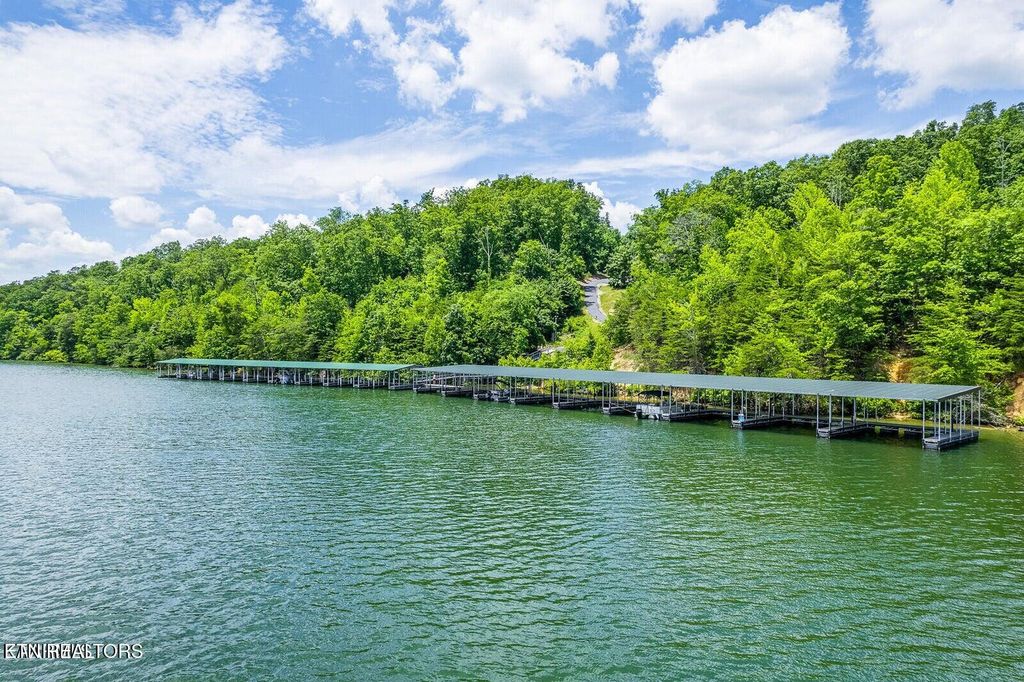 Photo of 439 Ridgeway Pass, Spring City, TN 37381 (MLS # 1306514)