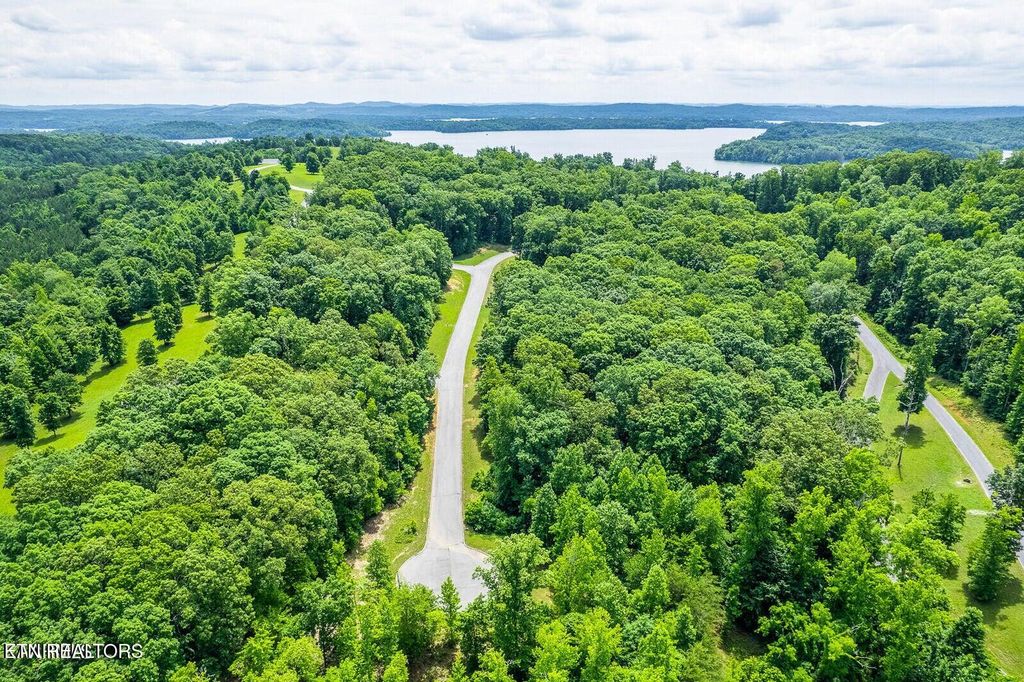 Photo of 439 Ridgeway Pass, Spring City, TN 37381 (MLS # 1306514)