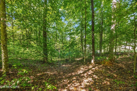 Tiny photo for 243 Mountain Lake Drive, Rocky Top, TN 37769 (MLS # 1356644)