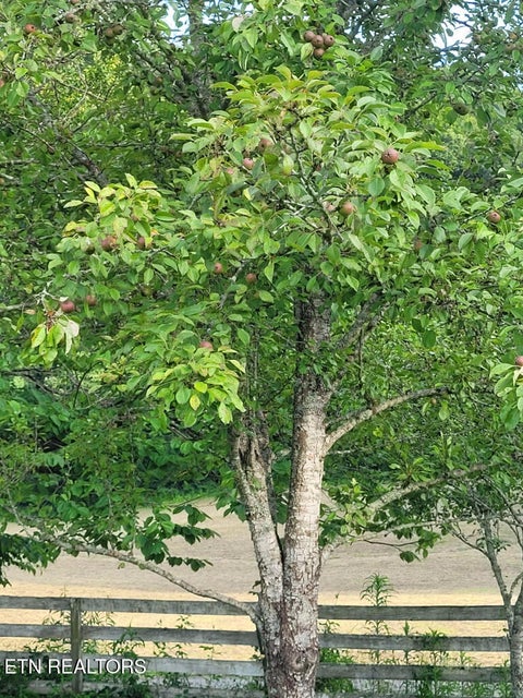 Tiny photo for 3381 Upper Caney Valley Rd, Tazewell, TN 37879 (MLS # 1359381)