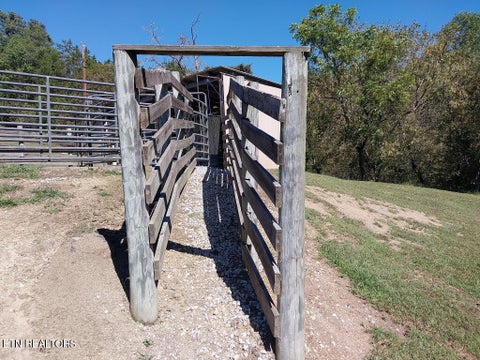 Tiny photo for 3381 Upper Caney Valley Rd, Tazewell, TN 37879 (MLS # 1359381)