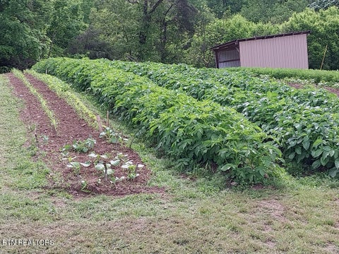 Tiny photo for 3381 Upper Caney Valley Rd, Tazewell, TN 37879 (MLS # 1359381)
