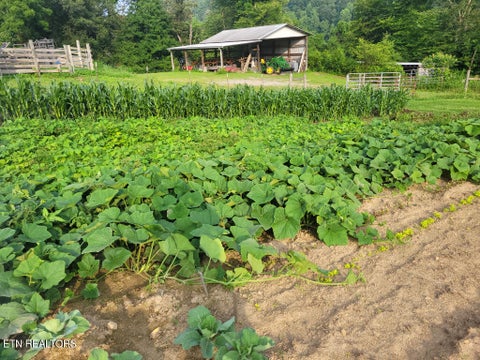 Tiny photo for 3381 Upper Caney Valley Rd, Tazewell, TN 37879 (MLS # 1359381)
