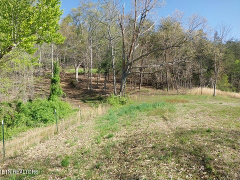Tiny photo for 3381 Upper Caney Valley Rd, Tazewell, TN 37879 (MLS # 1359381)