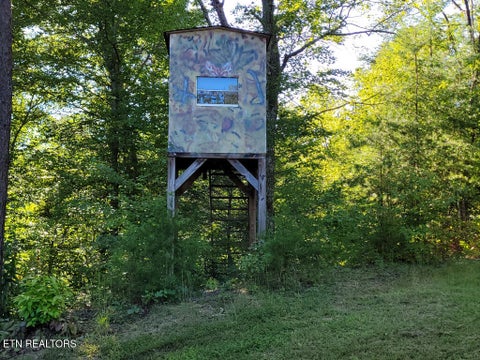 Tiny photo for 3381 Upper Caney Valley Rd, Tazewell, TN 37879 (MLS # 1359381)