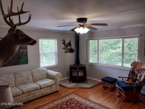 Tiny photo for 3381 Upper Caney Valley Rd, Tazewell, TN 37879 (MLS # 1359381)