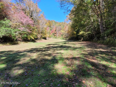 Tiny photo for 3381 Upper Caney Valley Rd, Tazewell, TN 37879 (MLS # 1359381)
