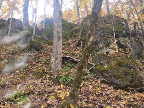 Tiny photo for 3381 Upper Caney Valley Rd, Tazewell, TN 37879 (MLS # 1359381)