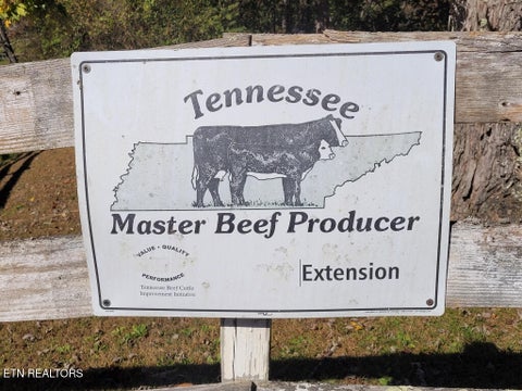 Tiny photo for 3381 Upper Caney Valley Rd, Tazewell, TN 37879 (MLS # 1359381)