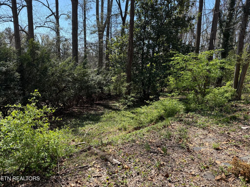 Photo of 313 W Outer Drive, Oak Ridge, TN 37830 (MLS # 1333435)