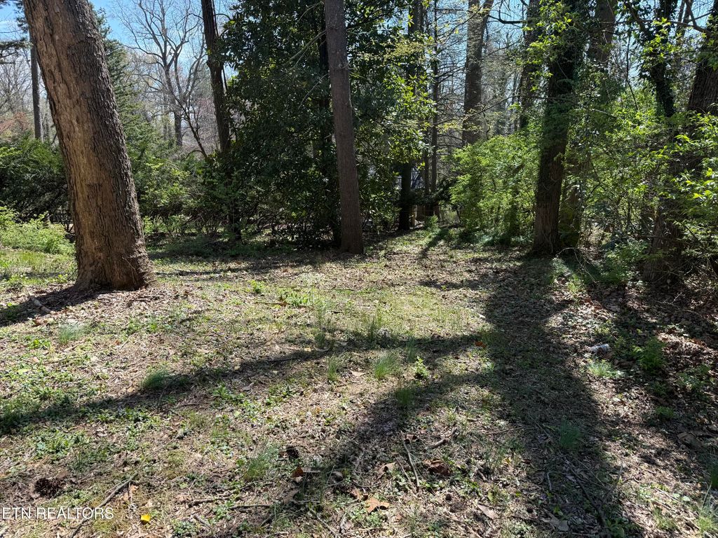 Photo of 313 W Outer Drive, Oak Ridge, TN 37830 (MLS # 1333435)