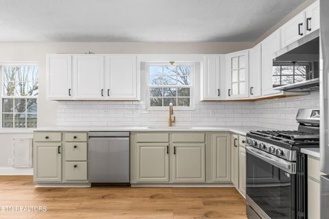 Tiny photo for 10969 Twin Harbour Drive, Knoxville, TN 37934 (MLS # 1333482)