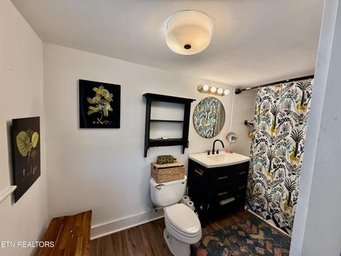 Tiny photo for 1701 Branson Ave, Knoxville, TN 37917 (MLS # 1324329)