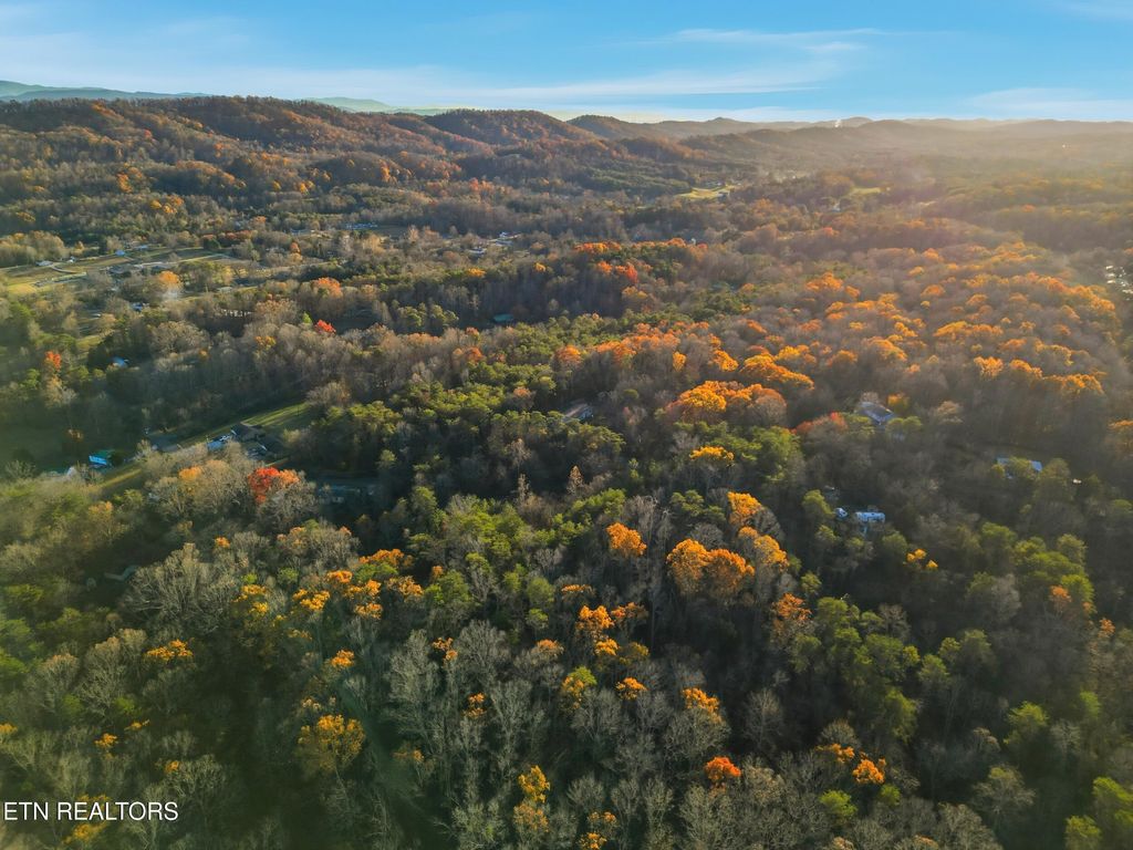 Photo of 7820 Swaggerty Rd, Knoxville, TN 37920 (MLS # 1323754)