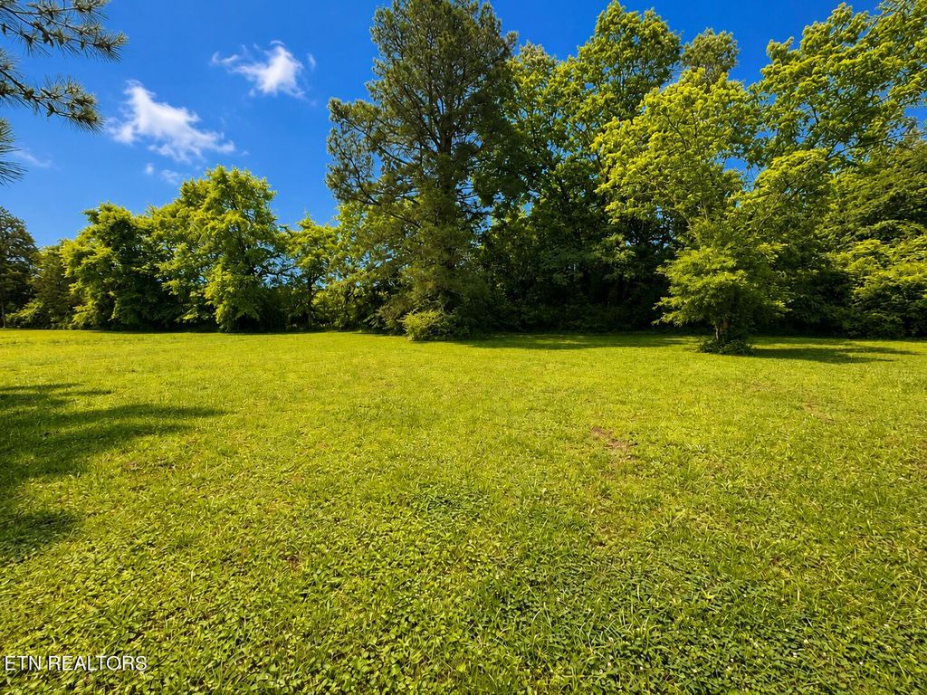 Photo of 191 Curnutt Lane, Ten Mile, TN 37880 (MLS # 1342182)