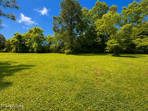 Tiny photo for 191 Curnutt Lane, Ten Mile, TN 37880 (MLS # 1342182)