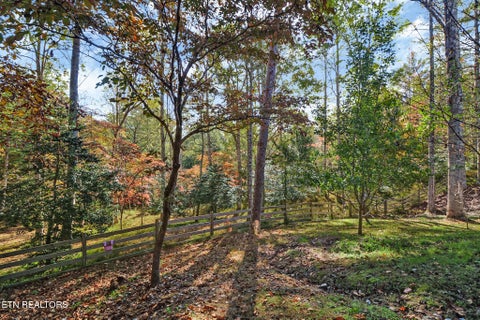 Tiny photo for 698 Boone Ridge Rd, Jamestown, TN 38556 (MLS # 1357569)