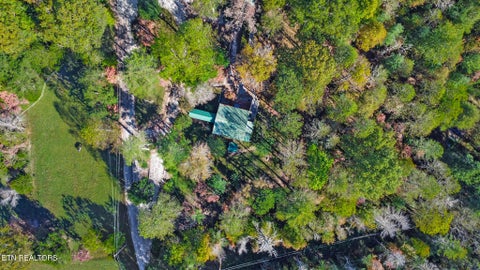 Tiny photo for 698 Boone Ridge Rd, Jamestown, TN 38556 (MLS # 1357569)