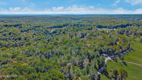 Tiny photo for 698 Boone Ridge Rd, Jamestown, TN 38556 (MLS # 1357569)
