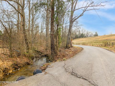Tiny photo for Buell Chapel Rd, Morristown, TN 37813 (MLS # 1329981)