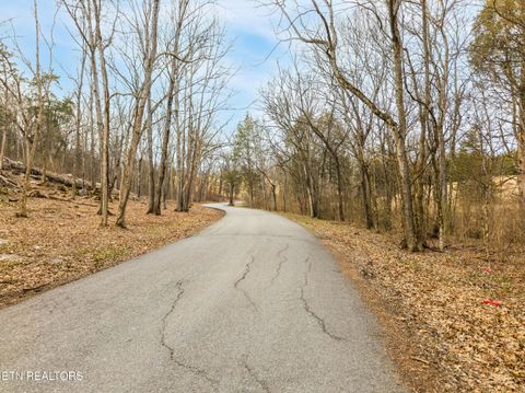 Tiny photo for Buell Chapel Rd, Morristown, TN 37813 (MLS # 1329981)