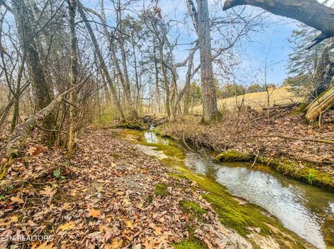 Tiny photo for Buell Chapel Rd, Morristown, TN 37813 (MLS # 1329981)
