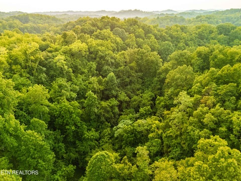 Tiny photo for 0 Long Branch Rd, Seymour, TN 37865 (MLS # 1349934)