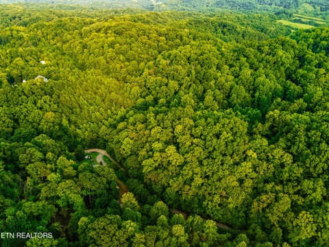 Tiny photo for 0 Long Branch Rd, Seymour, TN 37865 (MLS # 1349934)