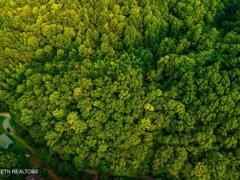 Tiny photo for 0 Long Branch Rd, Seymour, TN 37865 (MLS # 1349934)